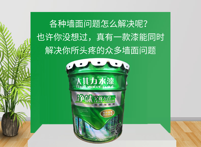 海南大其力 净味全效五合一 优质墙面漆(内墙面漆)