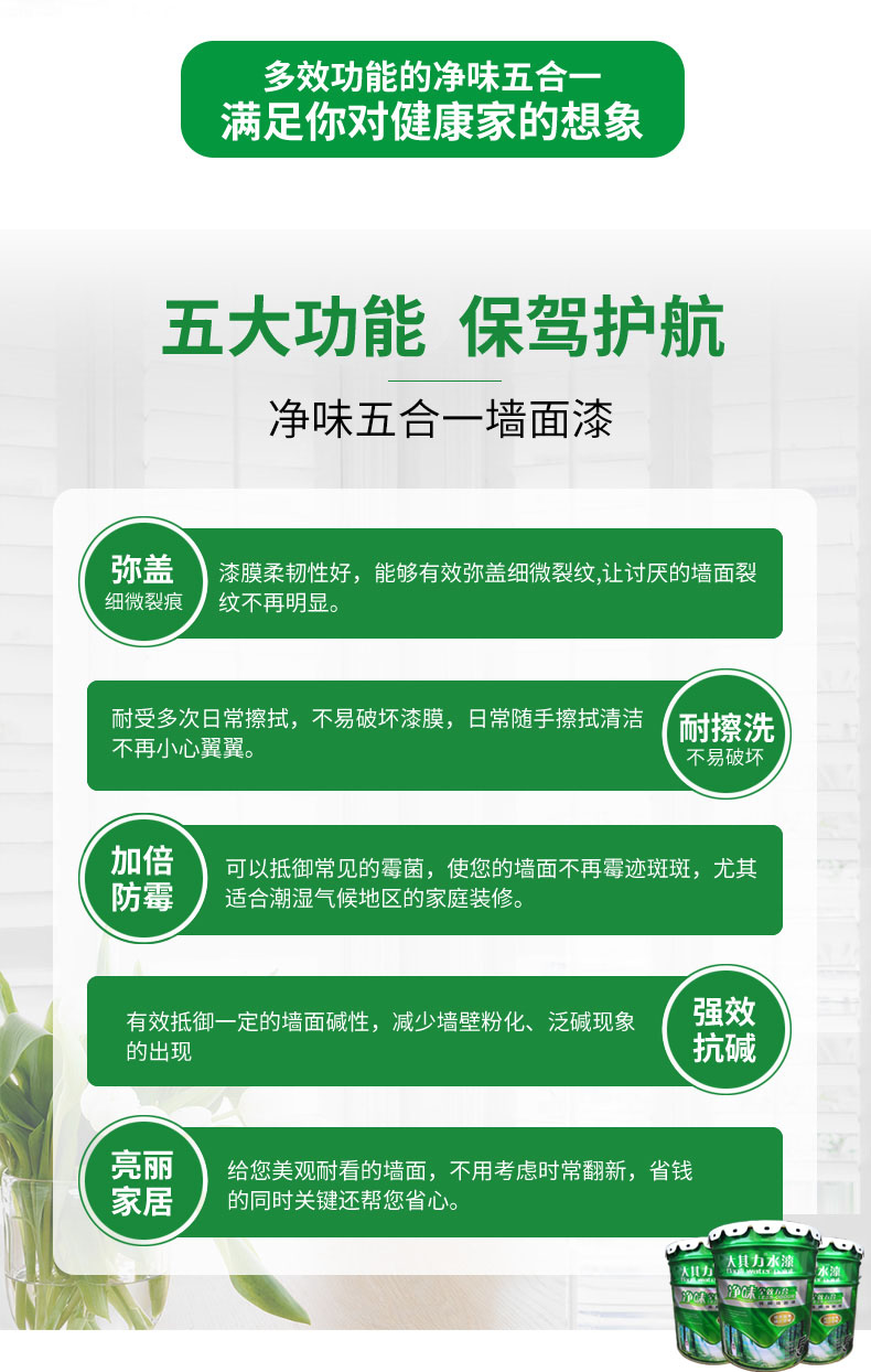 海南大其力 净味全效五合一 优质墙面漆(内墙面漆)
