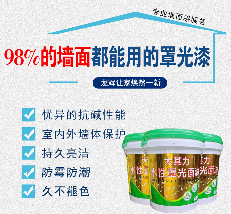 海南大其力 水性罩光面油
