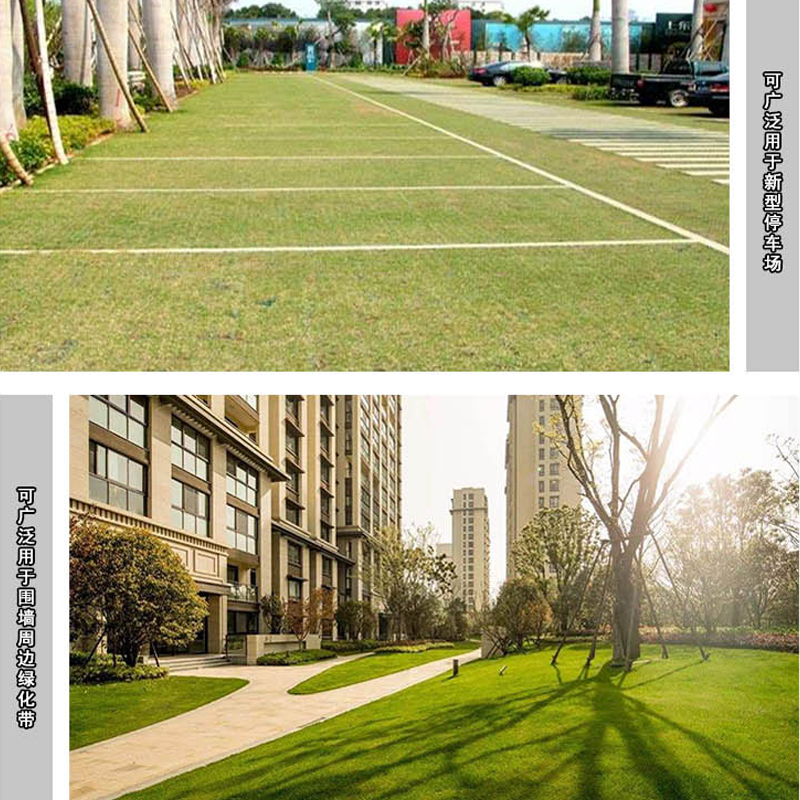 海南植草格,海南塑料植草格