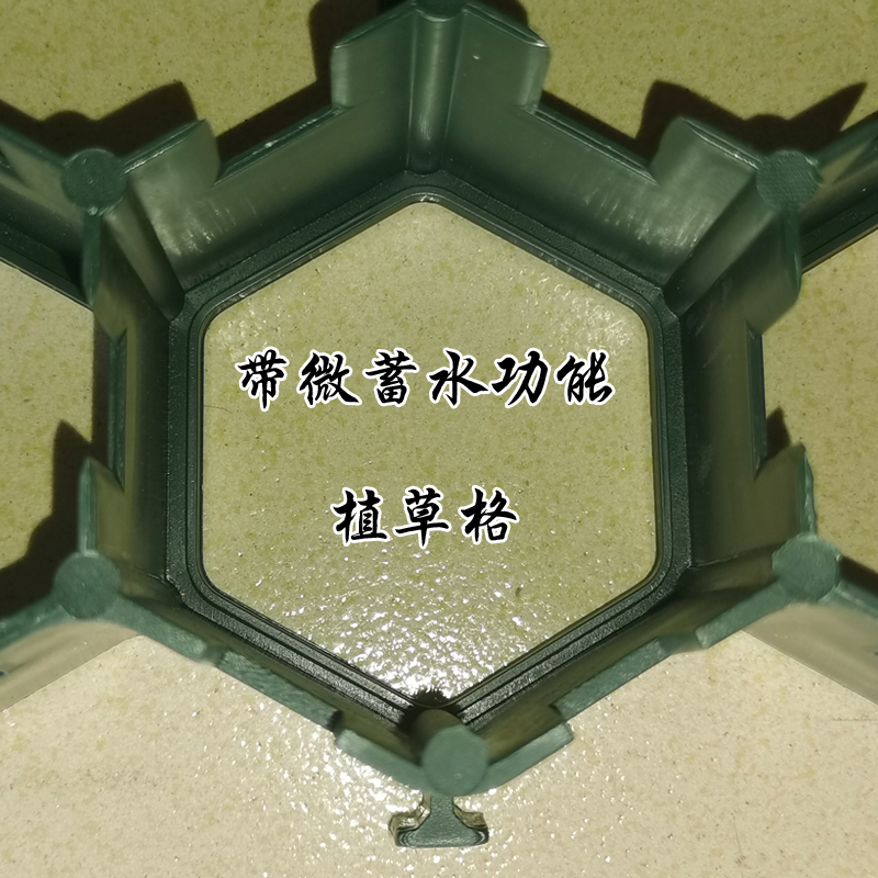 海南植草格,海南塑料植草格